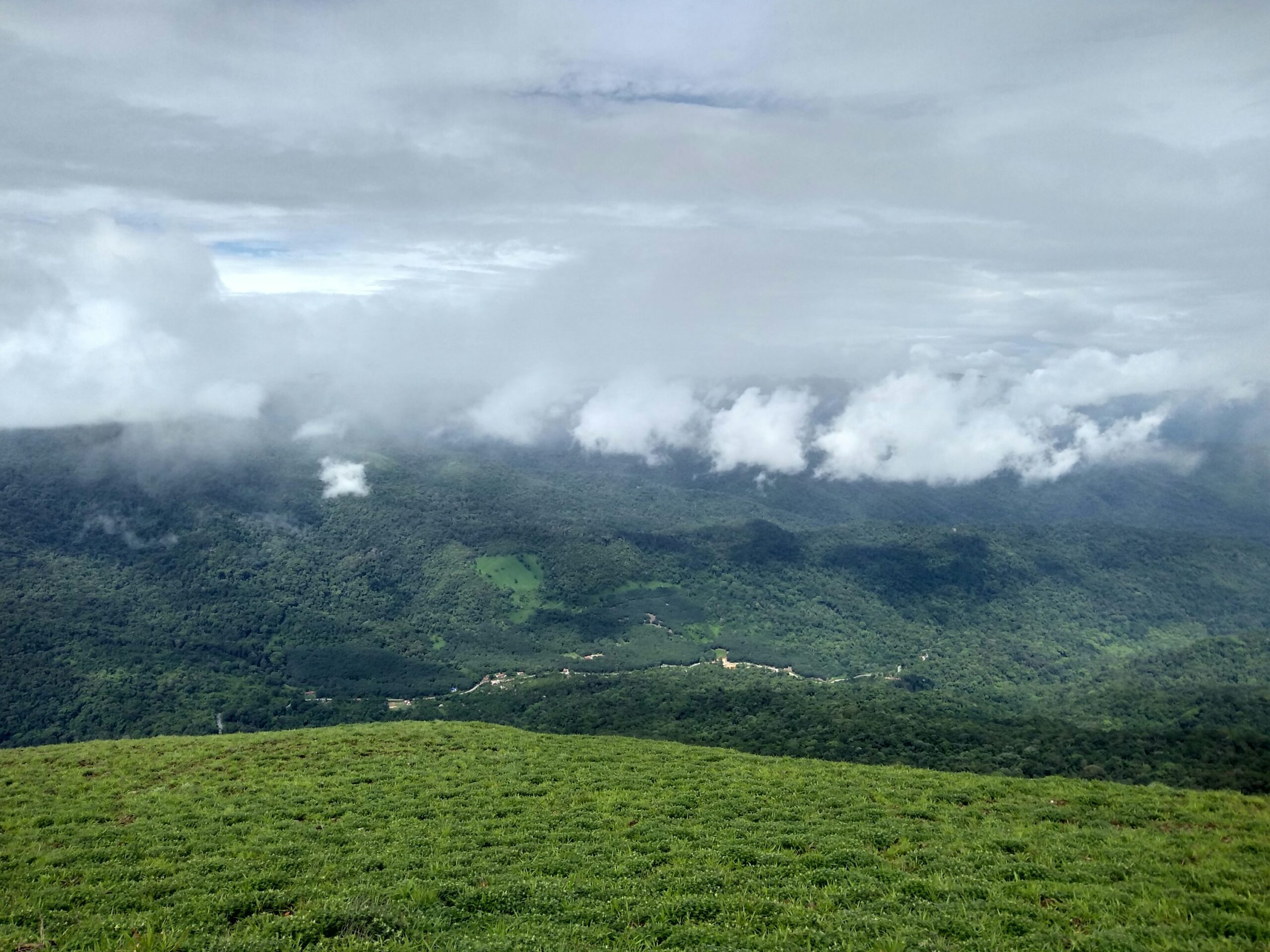Coorg- Monsoon Places to visit in India