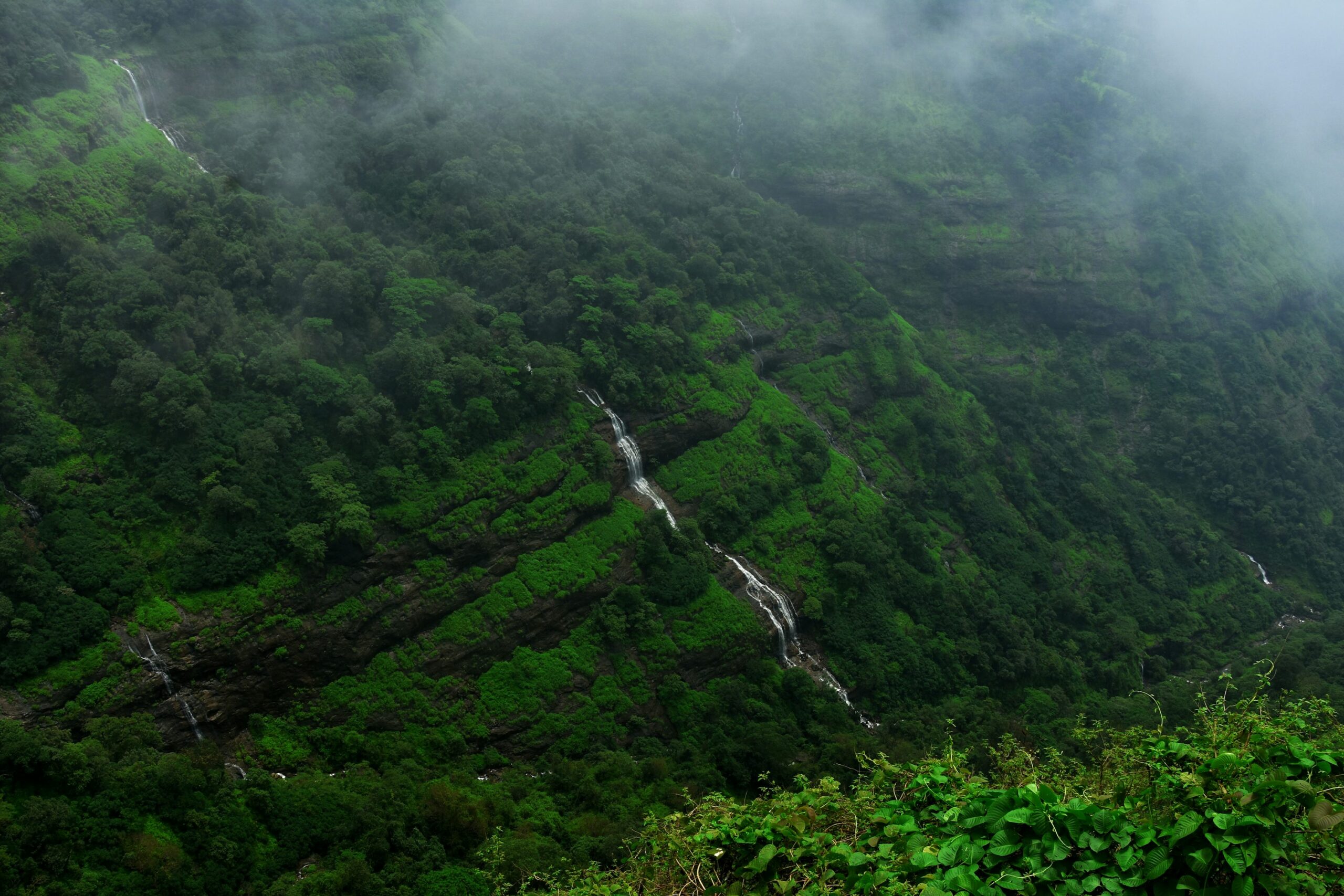 a winding road through a forest
